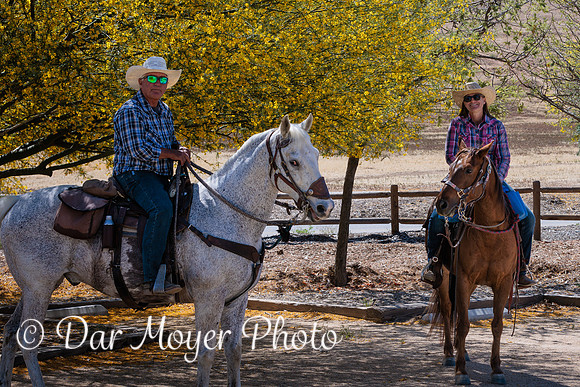 5W8A1624-Edit