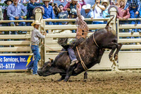 Bull Riding
