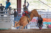 2023 Horseweek