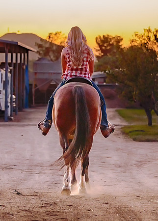 Lauren & Mateo (84)