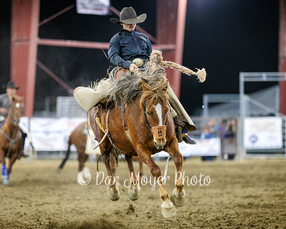 Norco Horseweek Ranch Rodeo 04.17.26