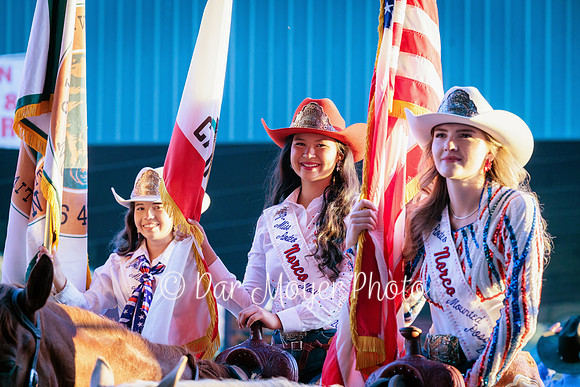 DMNFD25 (117)
