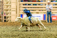 DMBULL25 (17)