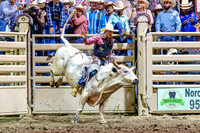 2025 Norco Fair
