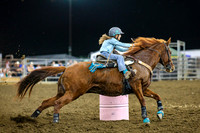 Barrels (4)