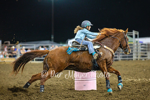 Barrels (4)