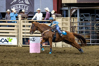 Barrels (7)