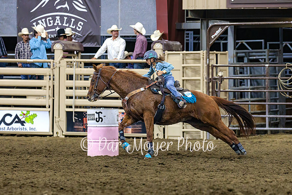 Barrels (7)