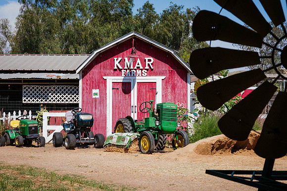 RTK (11)