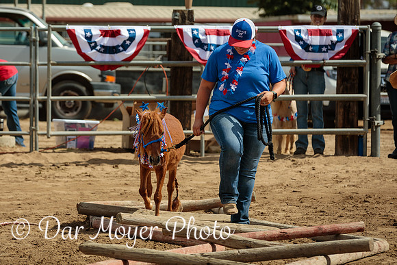 American Spirit Obstacle Course