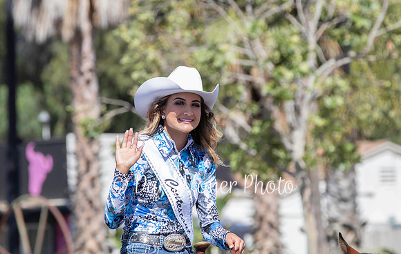 IMG_9571_1