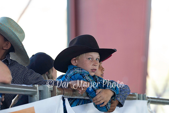 IMG_0686