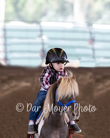 IMG_6634 crop