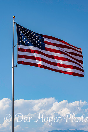 flag crop 1