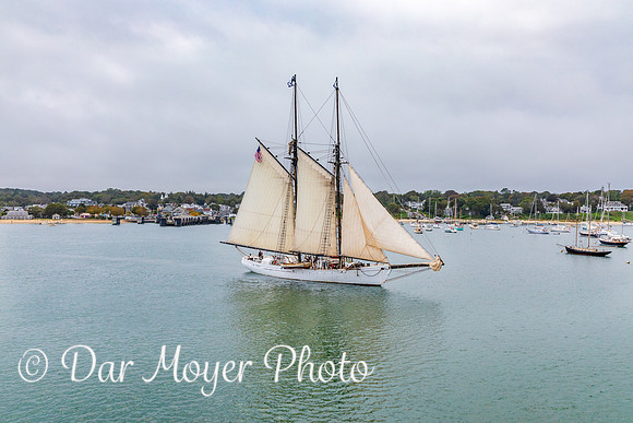 Sailboat New England