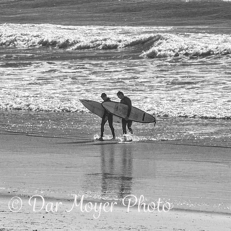 Surf Walk