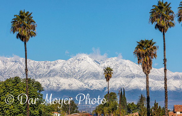 So Cal Winter