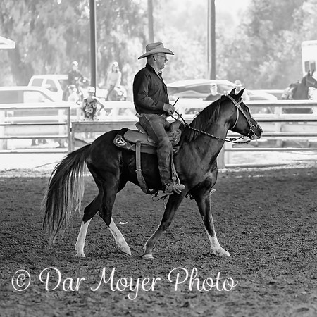 IMG_9556bw