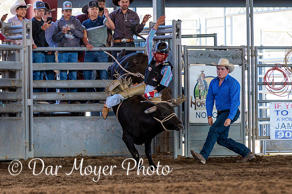 5W8A2208-Edit