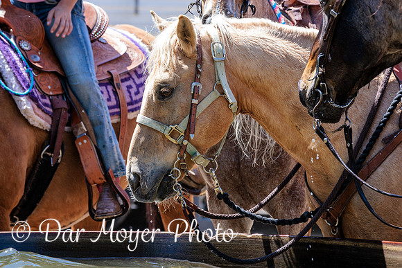 5W8A1799-Edit