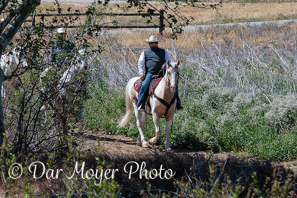 5W8A1645-Edit