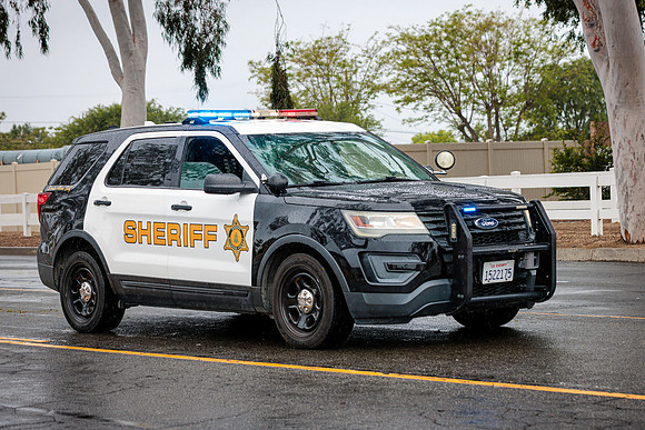HW25P (84)