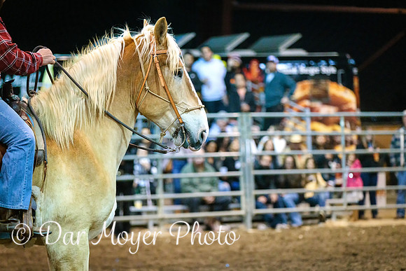 5W8A0075-Edit